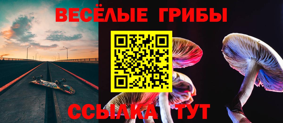 где найти   Галлюциногенные грибы Cubensis  Вход с VPN  Новодвинск 